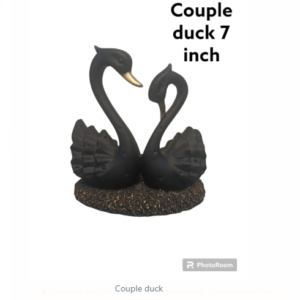 couple duck